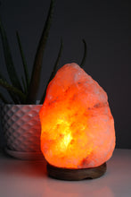 Load image into Gallery viewer, Large Pink Salt Lamp
