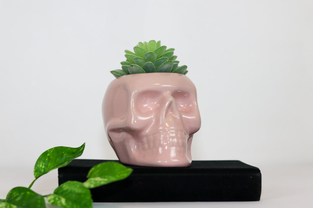 Pink Skull with Faux Succulent