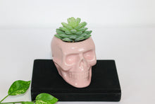 Load image into Gallery viewer, Pink Skull with Faux Succulent
